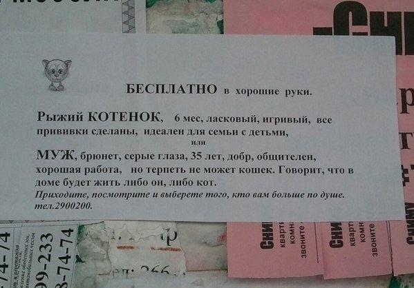 1116.41.jpg